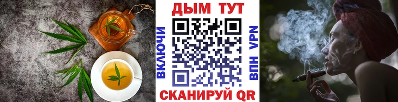 Купить где Каневская Еда ТГК конопля