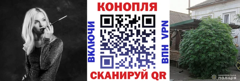 Купить закладки  Каневская  Бошки Шишки Amnesia 